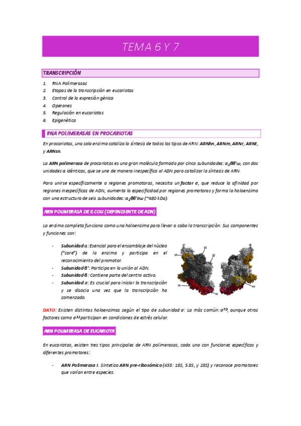 TEMA-6y7-BIOMOL.pdf