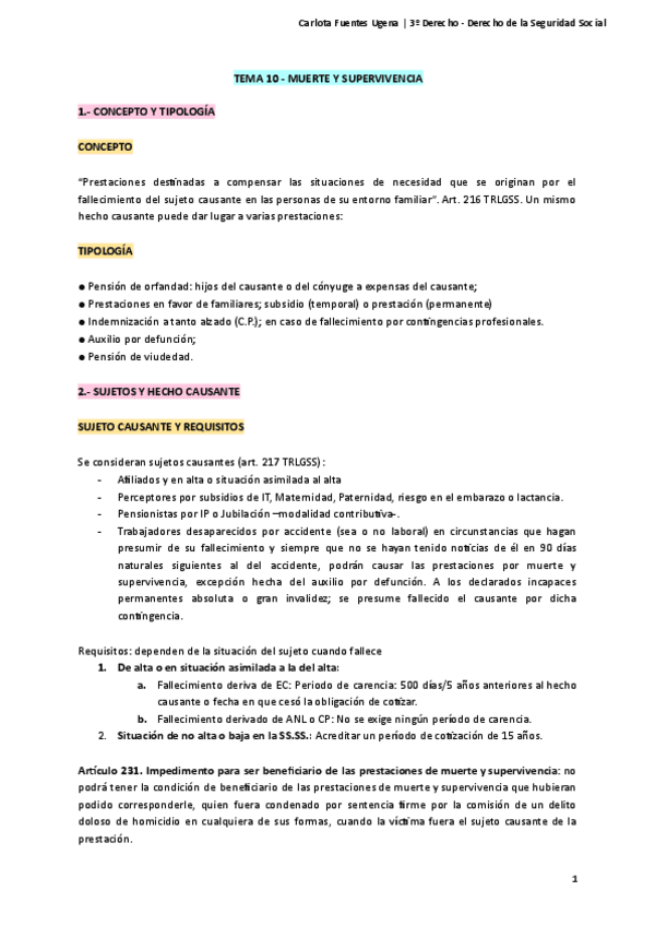 Tema-10-Seguridad-Social.pdf