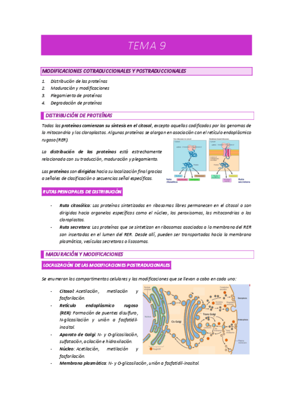 TEMA-9-BIOMOL.pdf