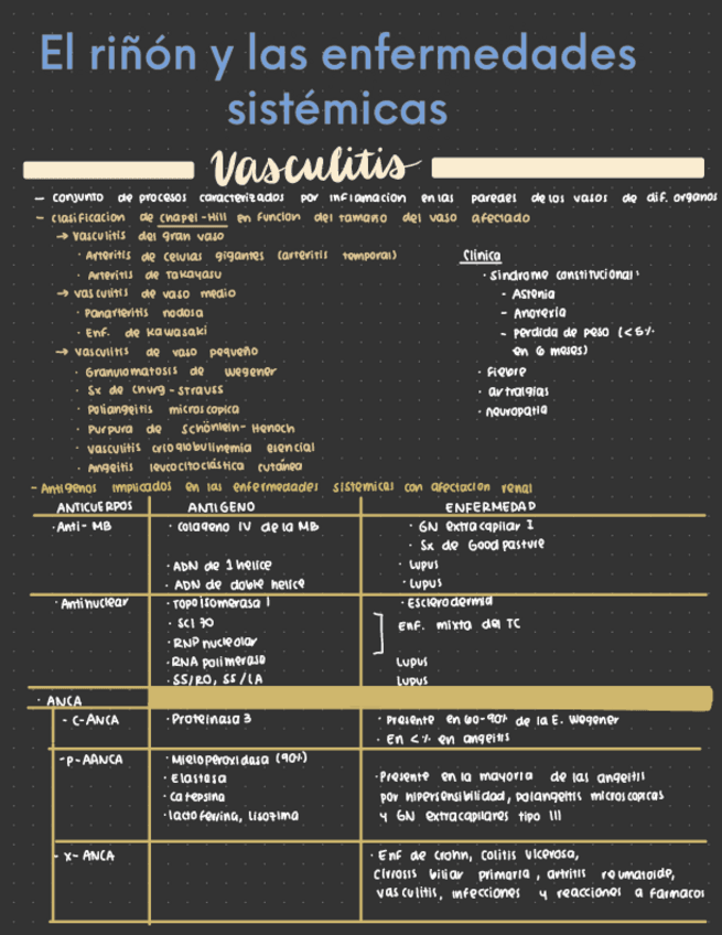 El-rinon-y-enfermedades-sistemicas.pdf