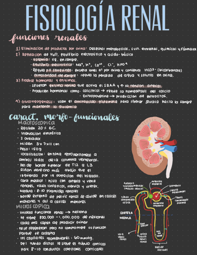 Fisiologia-Renal.pdf