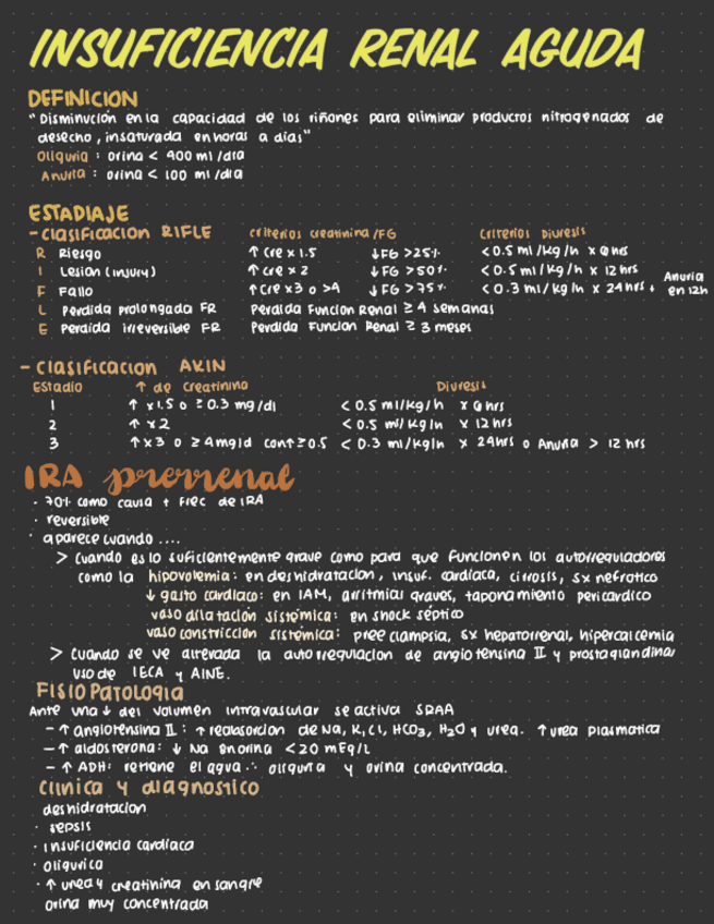 Insuficiencia-renal-aguda.pdf