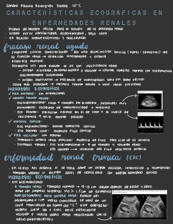 Caracteristicas-radiologicas-de-enfermedades-renales.pdf