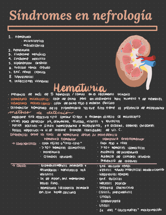 Sindromes-de-nefrologia.pdf