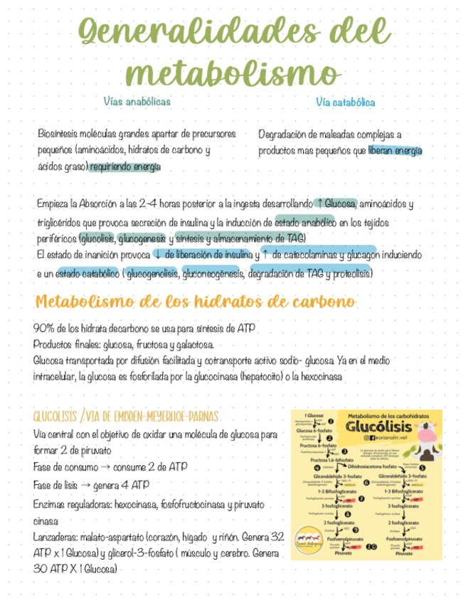 Generalidades-del-metabolismo.pdf