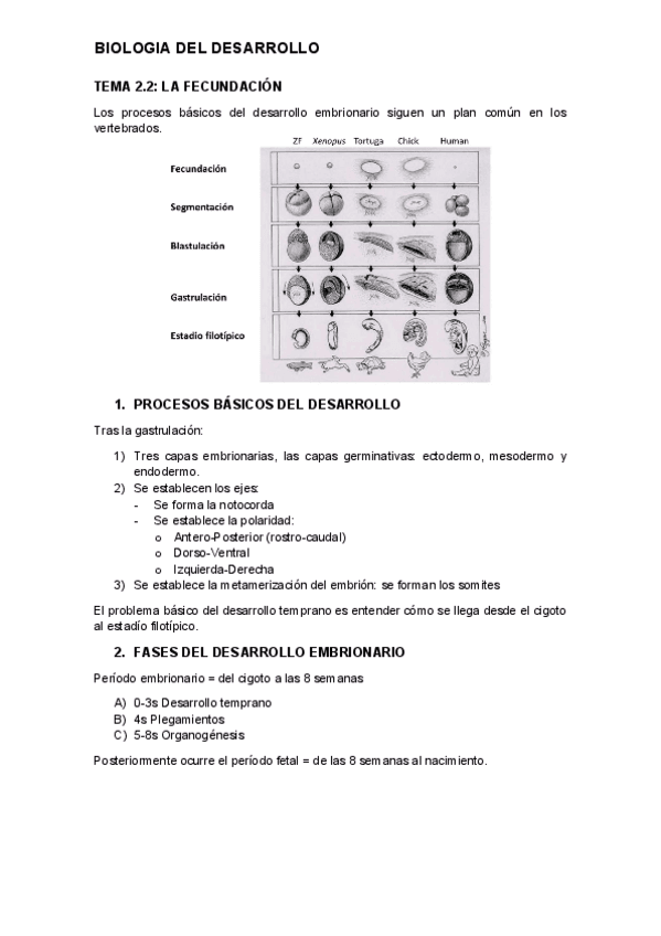 tema-2.2.-desarrollo.pdf