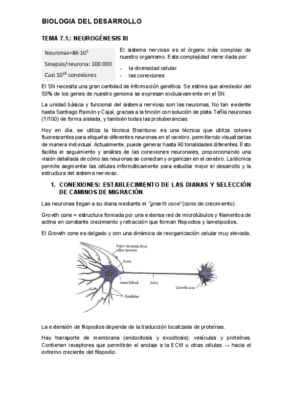 tema-7.1.-desarrollo.pdf