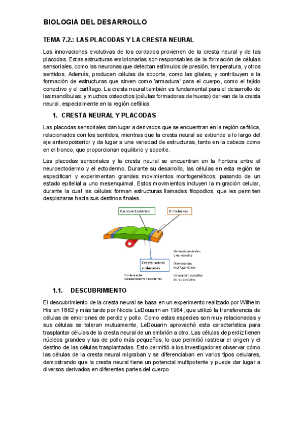 tema-7.2.-desarrollo.pdf