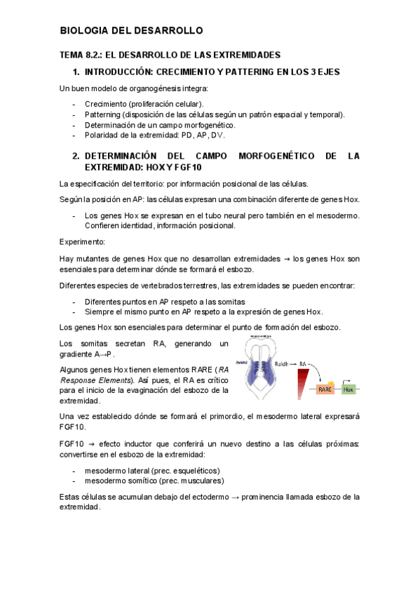 tema-8.2.-desarrollo.pdf