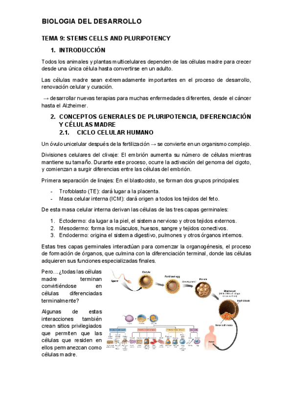 tema-9-desarrollo.pdf