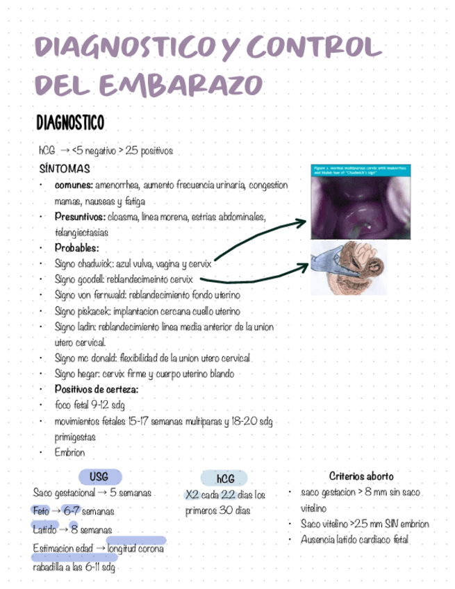 Diagnostico-y-control-del-embarazo.pdf