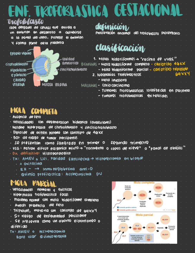 Enfermedad-trofoblastica-gestacional.pdf