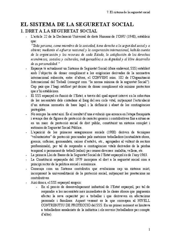 7.-El-sistema-de-la-seguretat-social.pdf