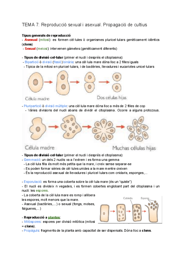 tema-7.pdf