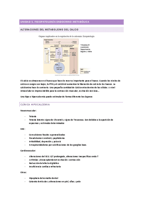 ENDOCRINO.pdf