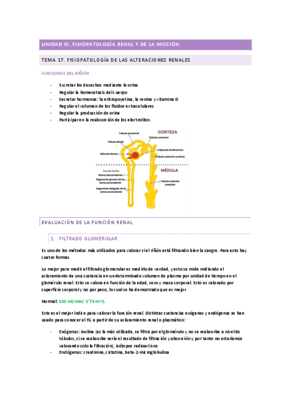 RENAL.pdf