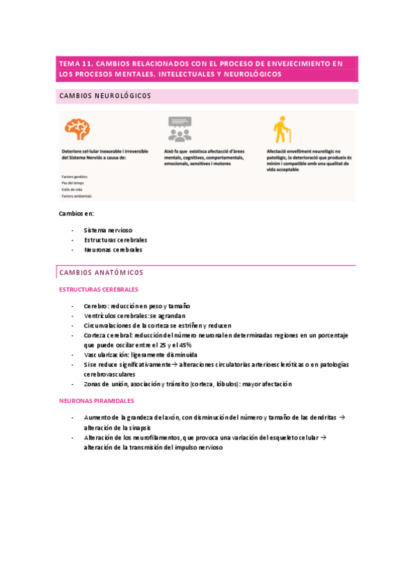 tema-11-15-geronto.pdf