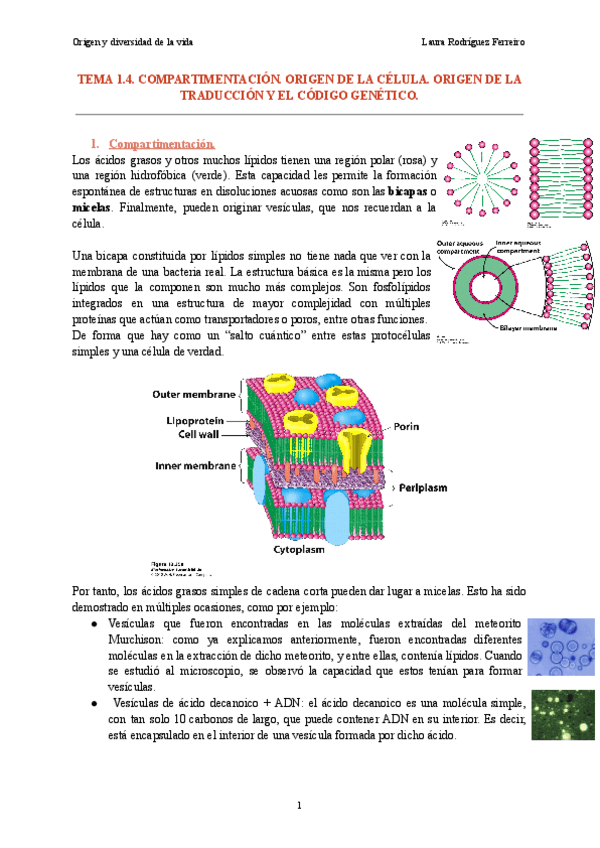 Tema-1.4-Origen-y-diversidad-de-la-vida.pdf