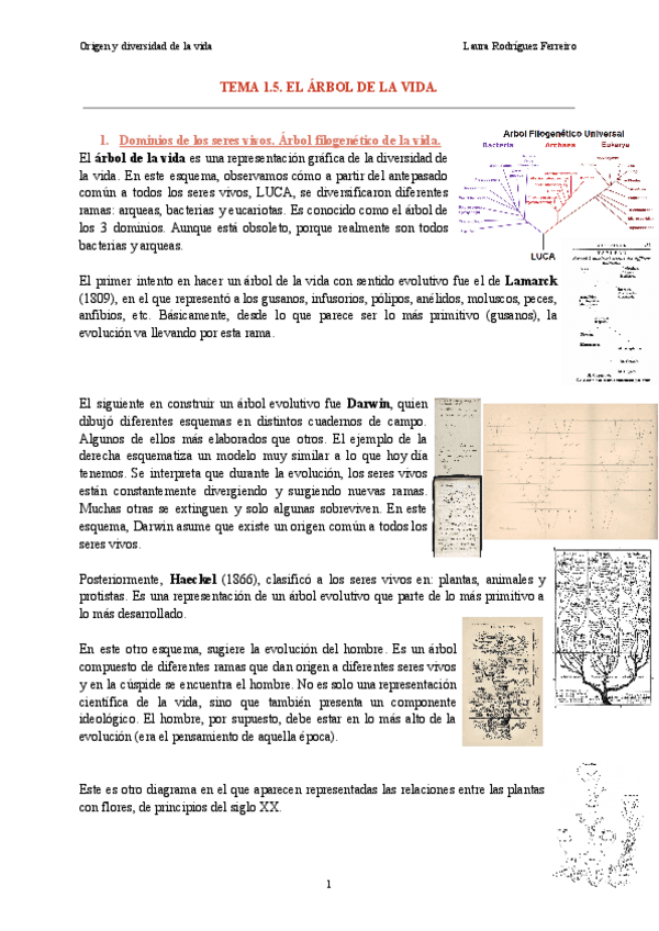 Tema-1.5-Origen-y-diversidad-de-la-vida.pdf