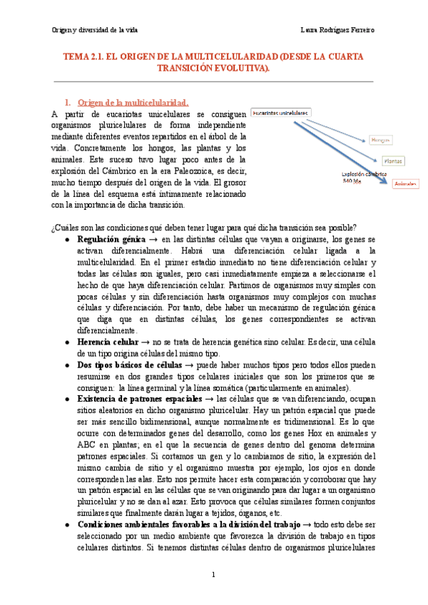 Tema-2.1.-Origen-y-diversidad-de-la-vida-2.pdf