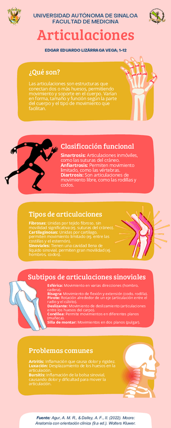 Infografía de Articulaciones (Anatomía).pdf