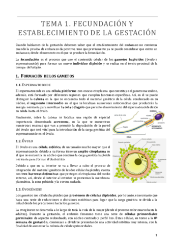 TEMA 1.pdf