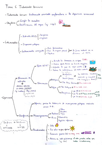 Tema 6. Tratamiento terciario.pdf