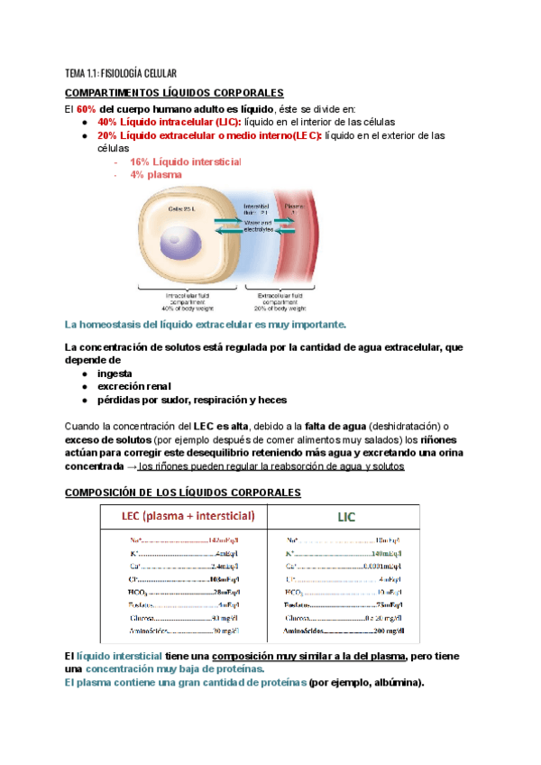 TEMA-1.1-FISIOLOGIA-CELULAR.pdf