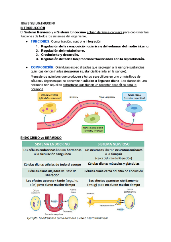 TEMA-3-SISTEMA-ENDOCRINO.pdf