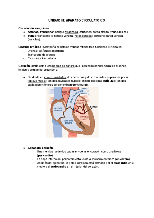 UNIDAD-III-APARATO-CIRCULATORIO-2.pdf