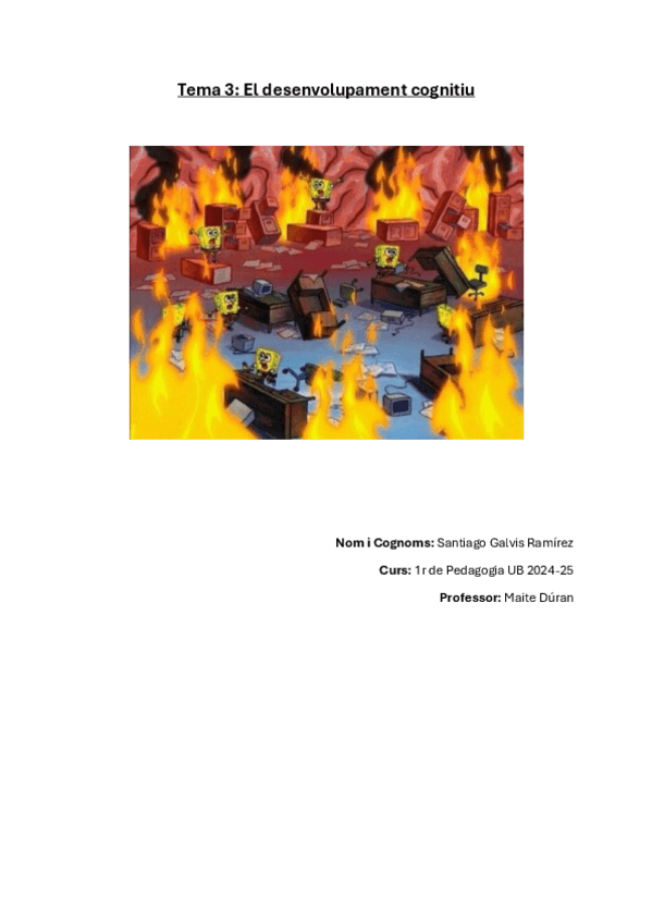 Tema-3.-Desenvolupament-cognitiu.pdf