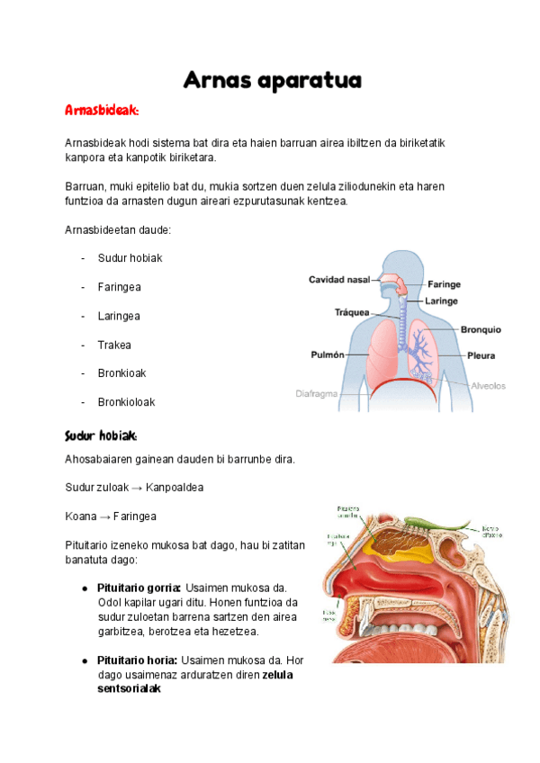 Arnas-eta-Iraitz-aparatua.pdf