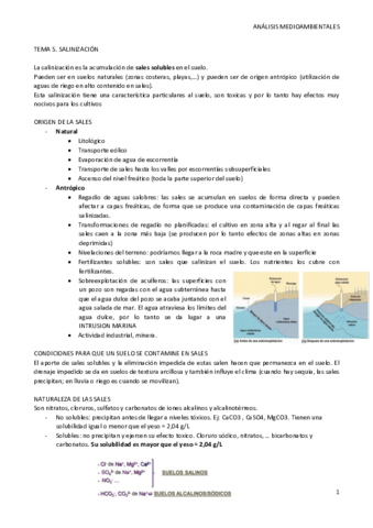 TEMA 5. SALINIZACIÓN.pdf