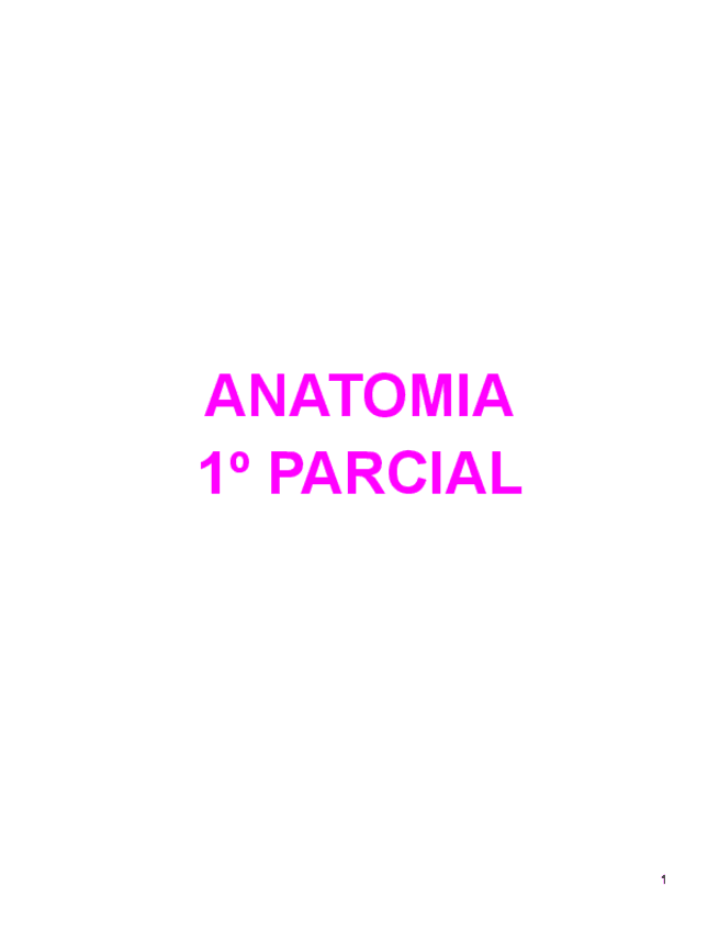 ANATOMIA PRIMER PARCIAL.pdf