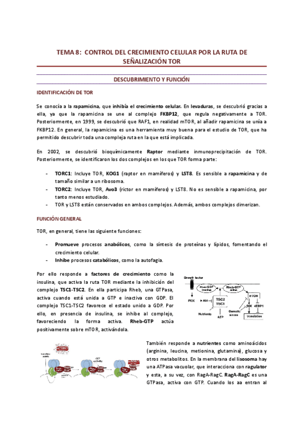 Tema-8-TOR.pdf