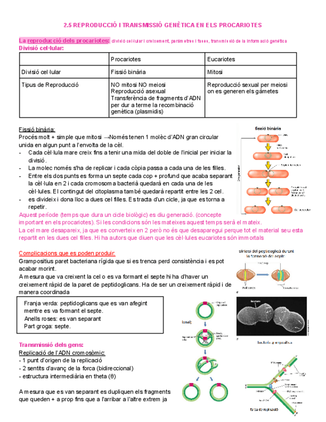 2.5-Reproduccio-i-transmissio-genetica-en-els-procariotes.pdf