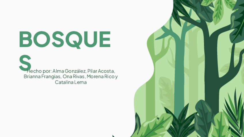 Presentacion-Ley-de-Bosques.pdf