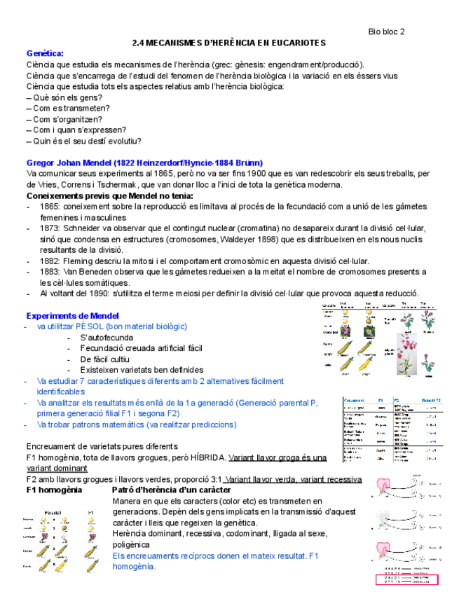2.4-Mecanismes-dherencia-en-eucariotes.pdf