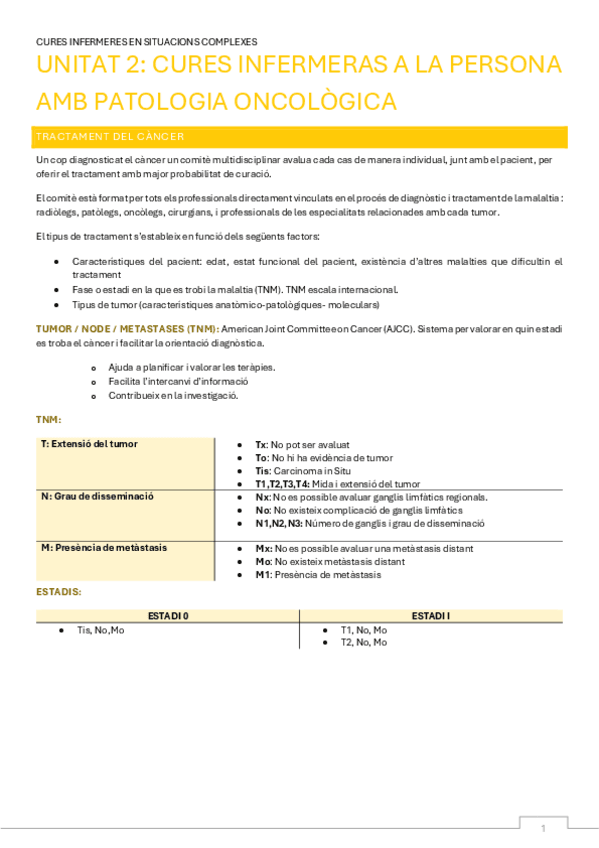 Cures-infermeres-a-la-persona-amb-patologia-oncologica.pdf