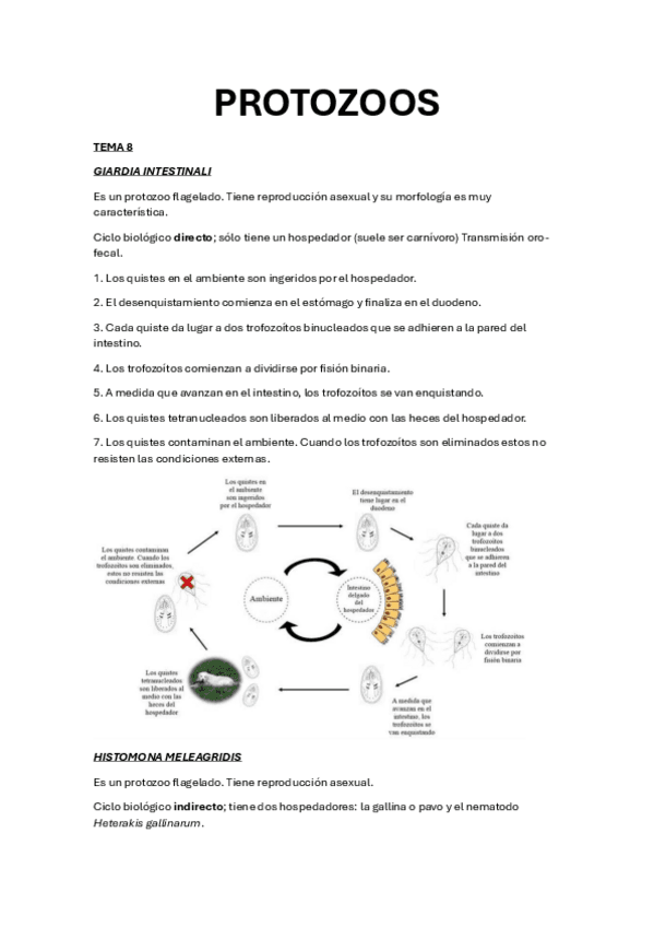 CICLOS-COMPLETOS-PARASITOLOGIA.pdf
