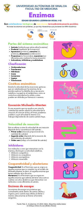 Infografía de Enzimas (Bioquímica).pdf