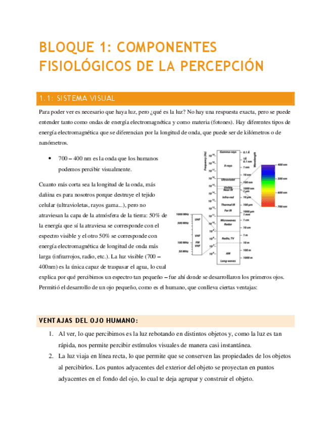 Percepcion-Apuntes-Examen-completos.pdf