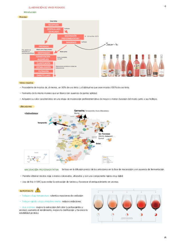 ELABORACION-DE-VINOS-ROSADOS.pdf