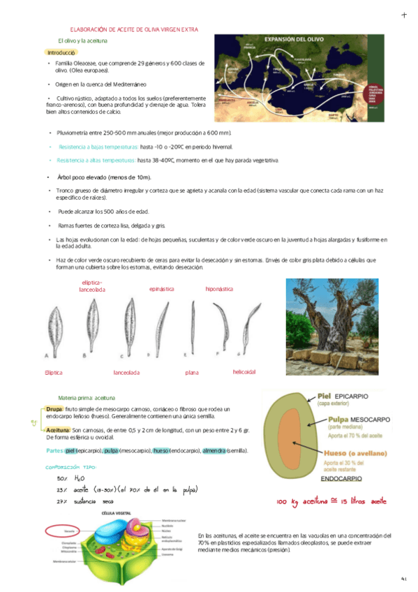ELABORACION-DE-ACEITE-DE-OLIVA-VIRGEN-EXTRA.pdf