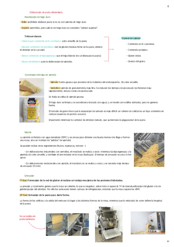 Elaboracion-de-pasta-alimentaria.pdf