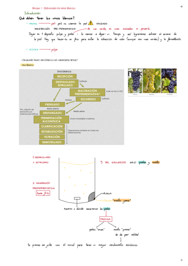Bloque-1-Elaboracion-de-vinos-blancos.pdf