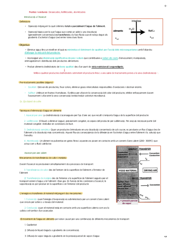 TEMA-9-Fruites-i-verdures-Dessecades-liofilitzades-atomitzades.pdf