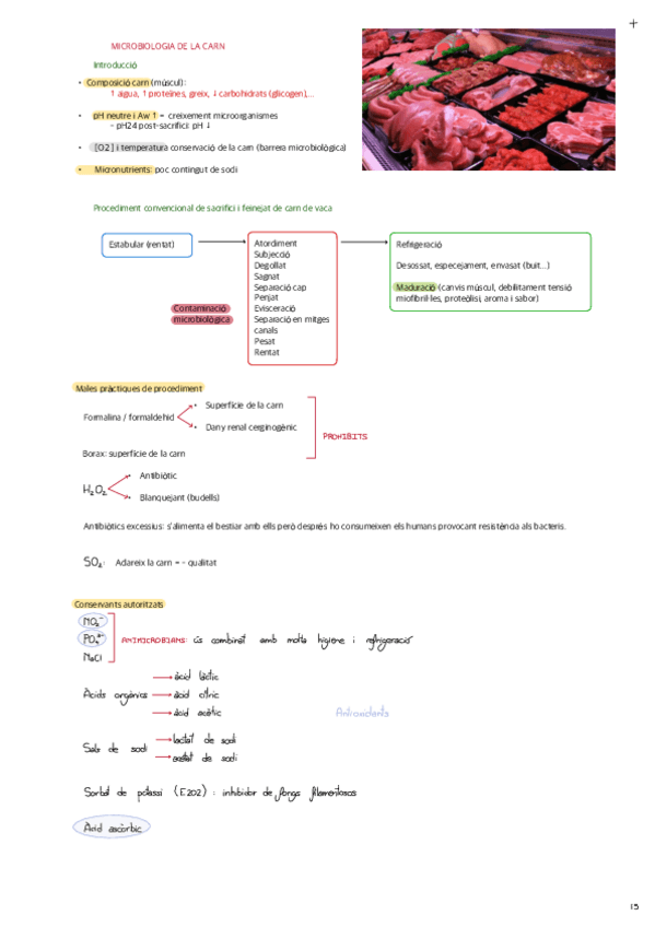 TEMA-3-MICROBIOLOGIA-DE-LA-CARN.pdf