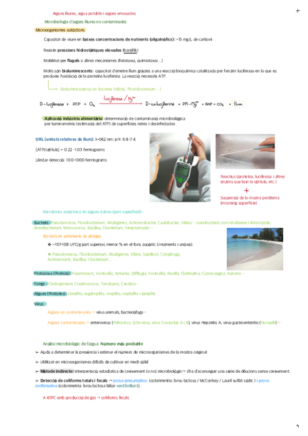 TEMA-2-Aigues-lliures-aigua-potable-i-aigues-envasades.pdf