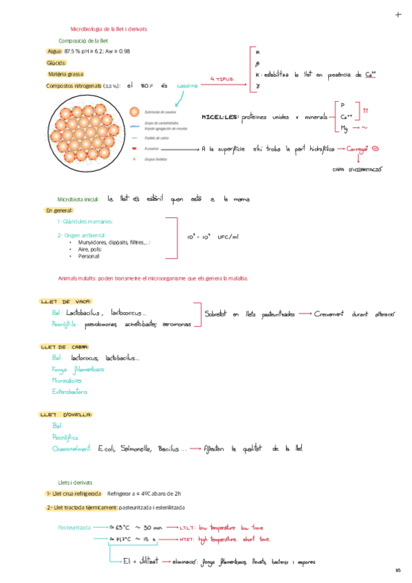 TEMA-6-Llet-i-derivats.pdf